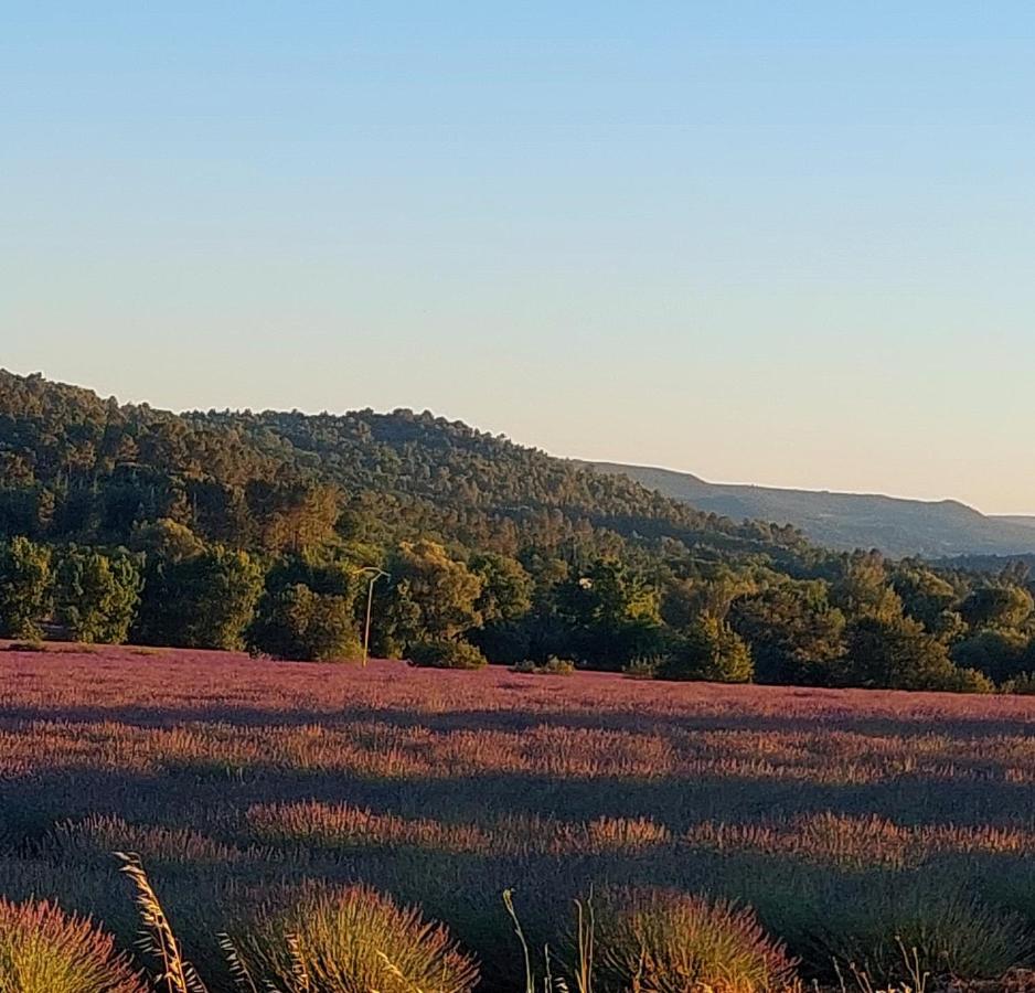 Appartement Roussillon Roussillon en Isere Kültér fotó